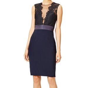 Theia Deep Midnight Sheath 6